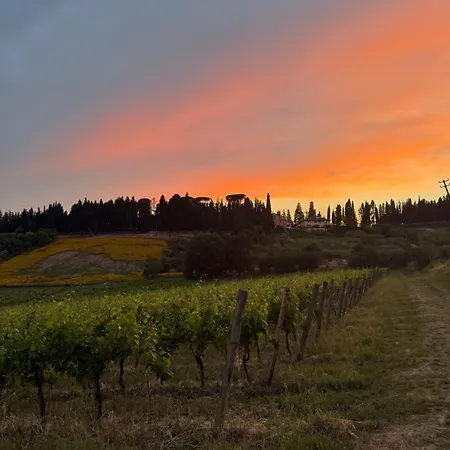 Azienda Agricola I Colli di Marliano-3